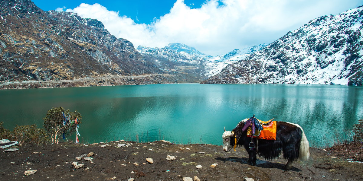 Tsomgo Lake Image